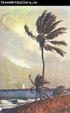 Winslow Homer Palm Tree, Nassau